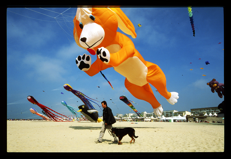 Bien photographier les cerfs volants