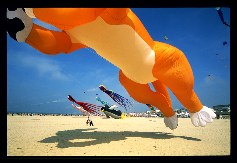 cerfs volants Berck cours photo