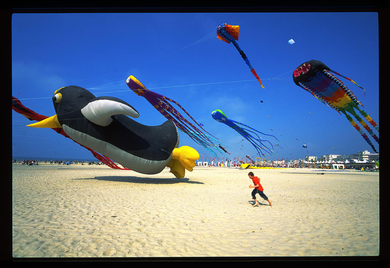 Concours photo cerfs volants de Berck