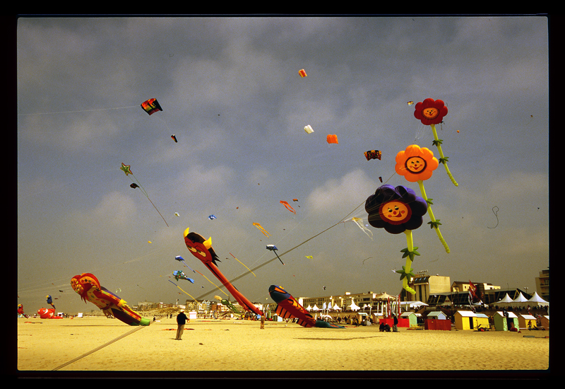 diapo Velvia cerfs volants Berck