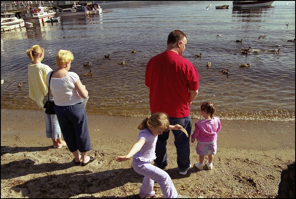 Des personnes observant des canards au bord d'un lac, avec des bateaux en arrière-plan.