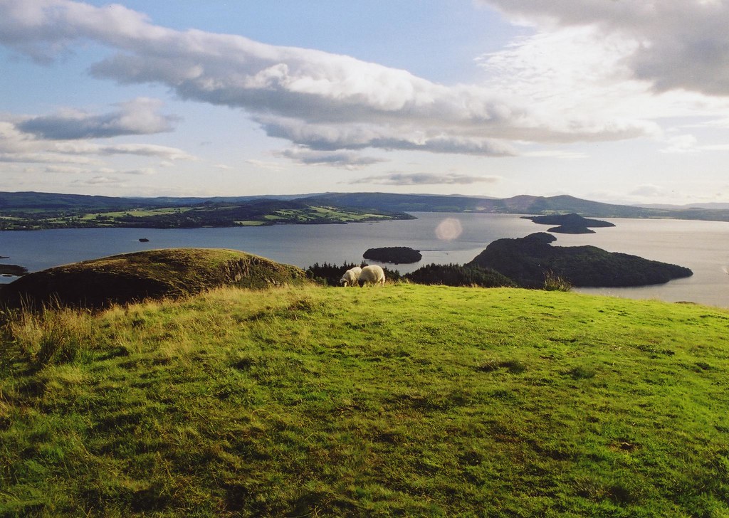 Vue panoramique depuis le sommet du mont Conic Hill, avec des collines verdoyantes et le Loch Lomond en arrière-plan. Un mouton paît tranquillement sur l'herbe.