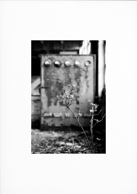 6 comptes Instagram consacrés à la photo&nbsp;argentique