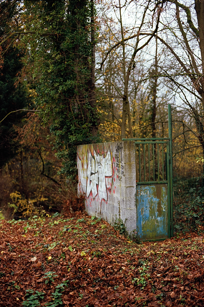 Un mur en béton partiellement recouvert de graffitis, avec une porte verte ouverte, entouré de feuillage d'automne et de feuilles au sol.