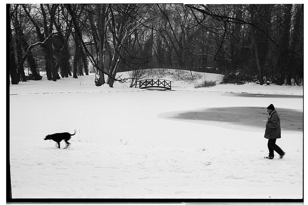 photographie d'hiver en argentique - la neige dans le parc de Wambrechies - Photographe professionnel Nord