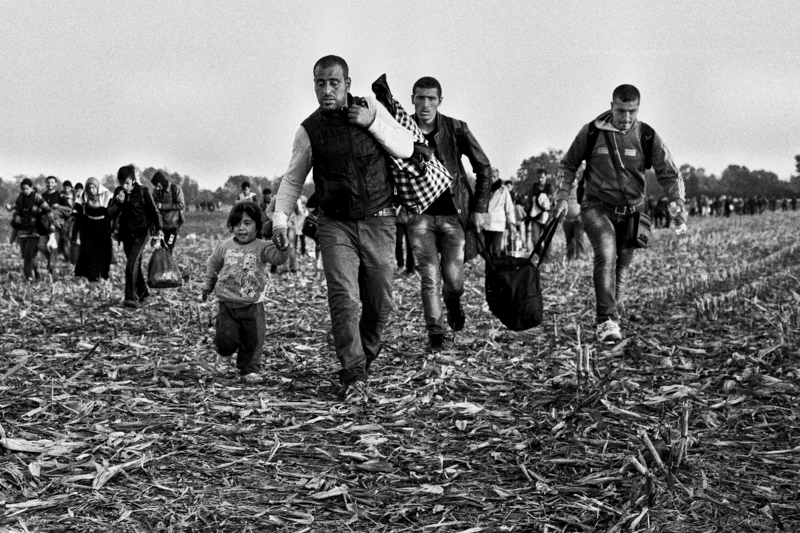 Un groupe de personnes marchant rapidement à travers un champ, avec un adulte tenant la main d'un enfant et portant des bagages.