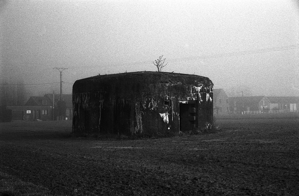 Un bunkér en béton vieilli photographié en noir et blanc, entouré de brouillard, avec un arbre poussant sur le dessus.