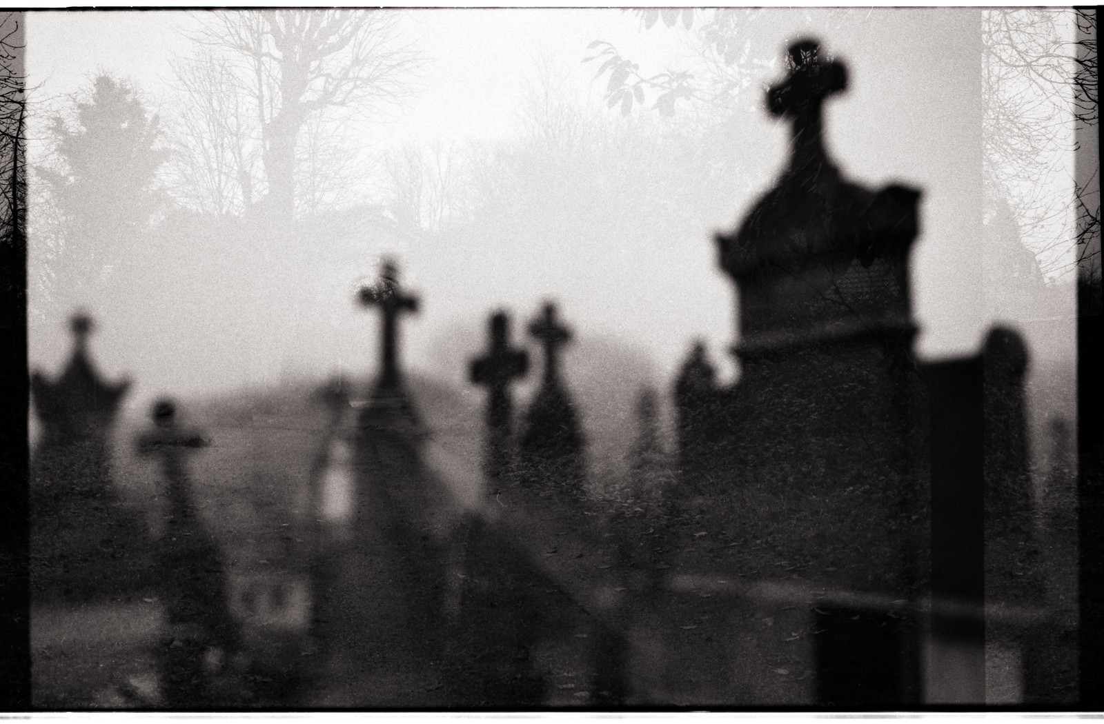 La double expo argentique avec un reflex Canon