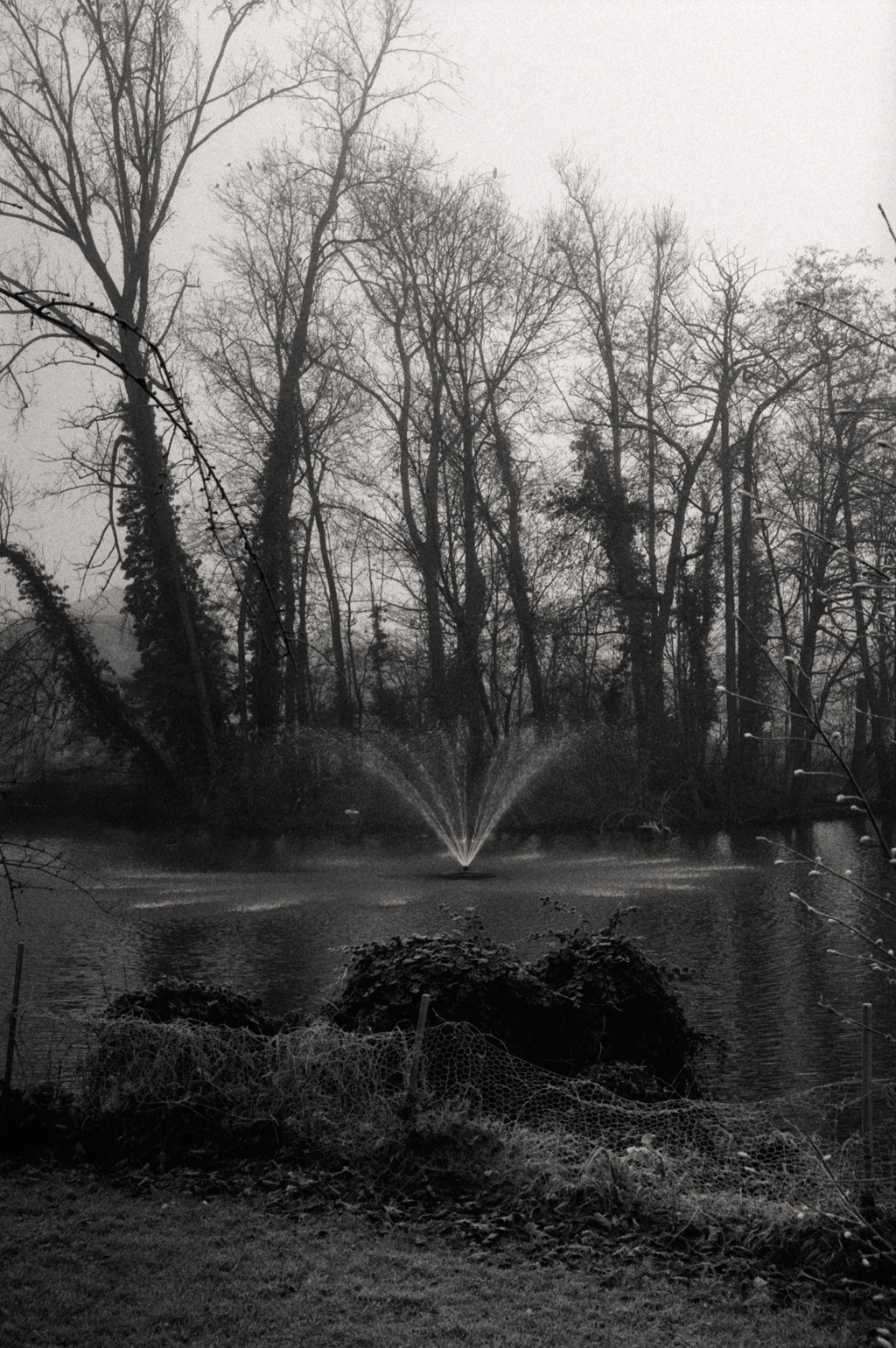 Paysages en noir et argentique 