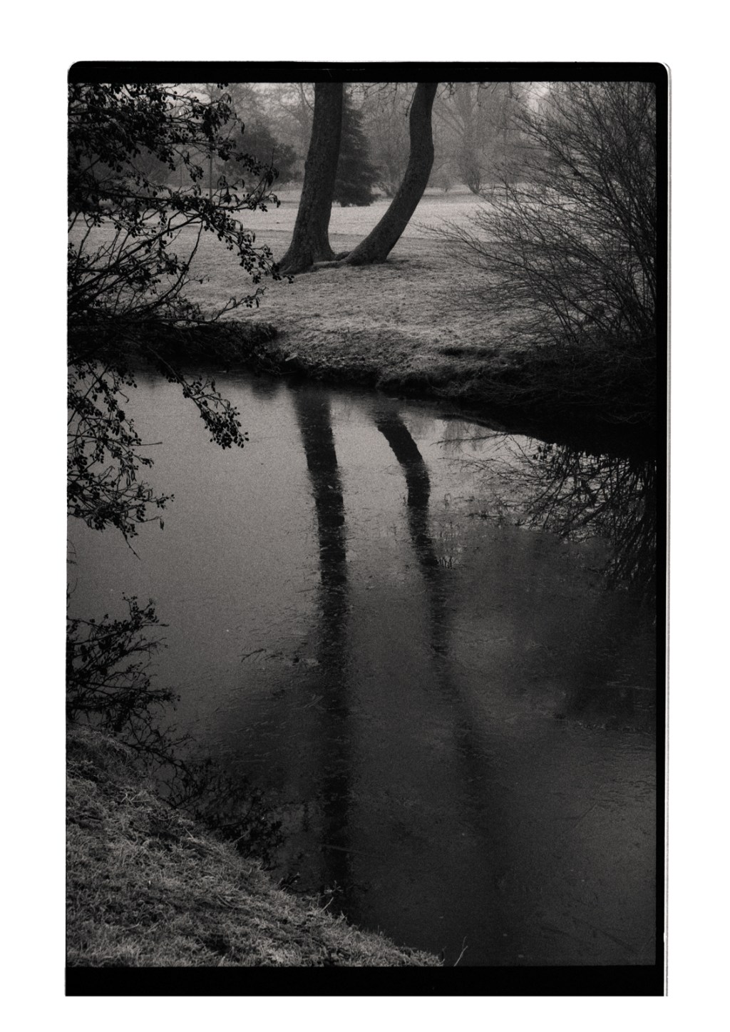 Photographie retro noir et blanc - paysage pictorialiste - Photographe argentique