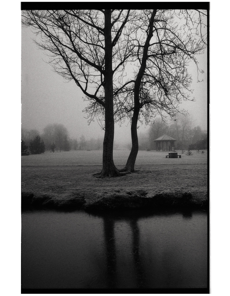 Apprendre à photographier la brume avec un appareil argentique