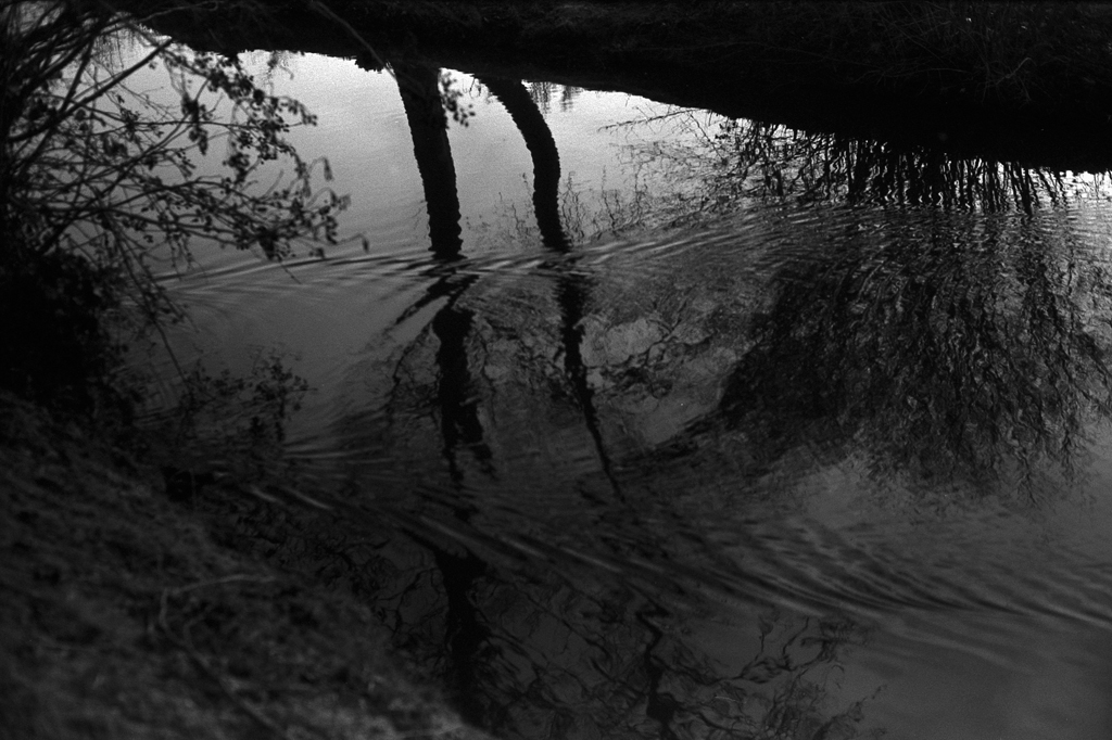 Derniers scans pellicule Fomapan 100 Lille 