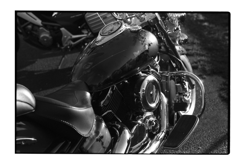 développement Rodinal 1+50