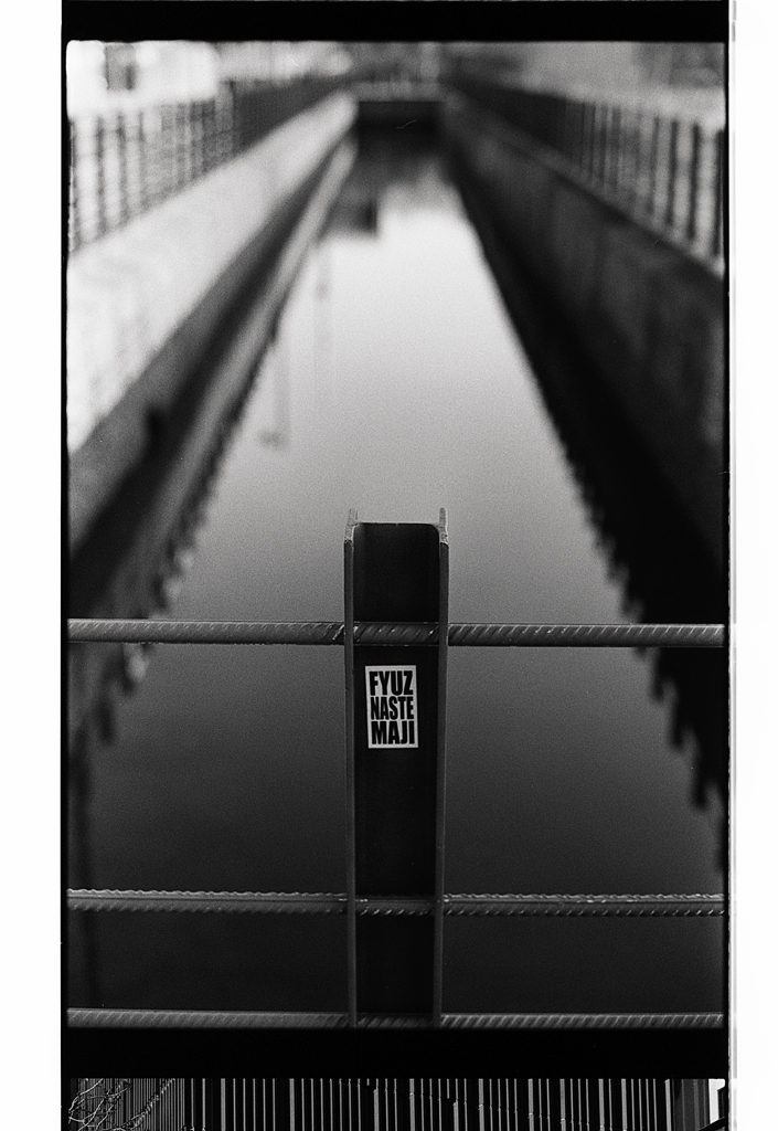 Photographie Lomme argentique Nikon FM2n au 50mm. Pellicule Fomapan 100.