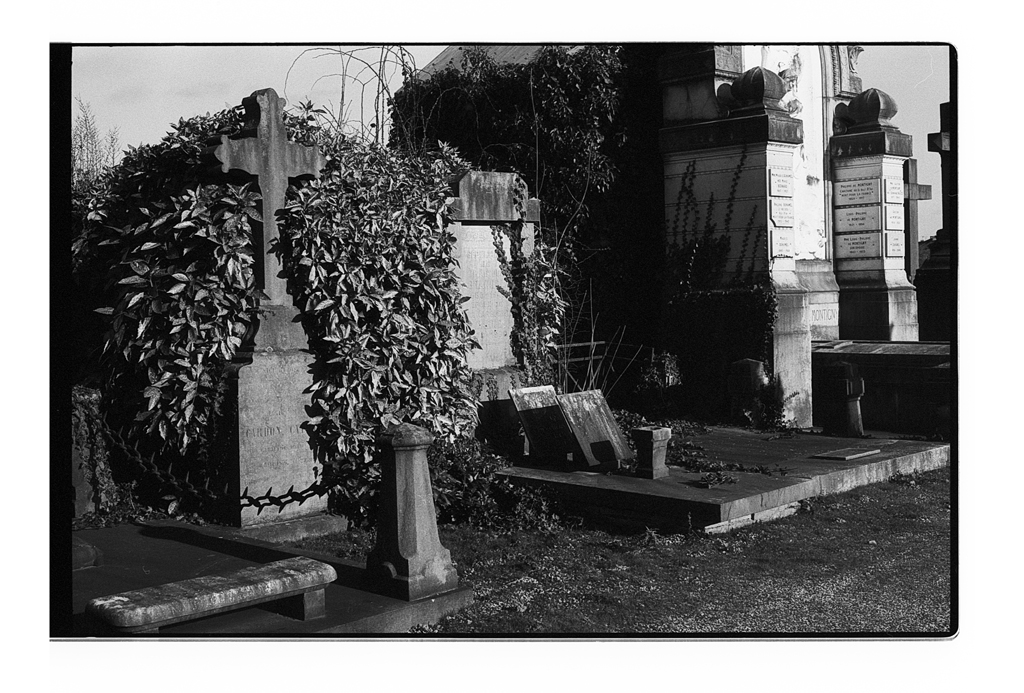 Photographie en noir et blanc d'un vieux cimetière avec des pierres tombales anciennes, recouvertes de lierre et entourées de nature. Éclairage doux mettant en valeur les textures et les ombres des monuments.