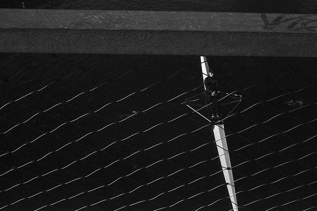 Lomo Earl grey sur le&nbsp;terrain