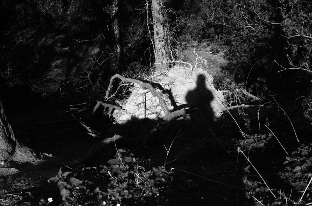 Dans la lumière du noir et&nbsp;blanc