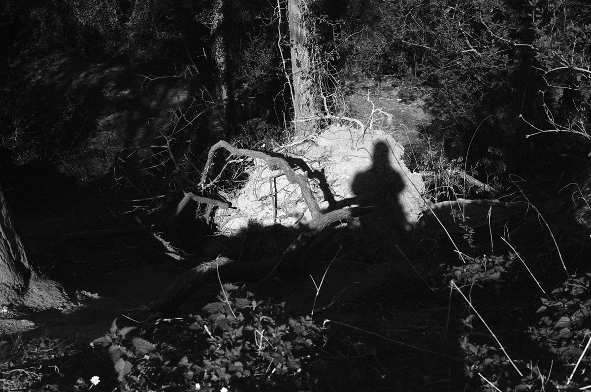 Dans la lumière du noir et&nbsp;blanc