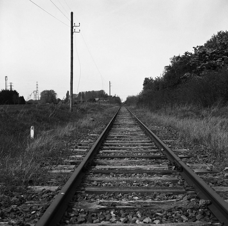Vue en noir et blanc d'une voie ferrée s'étendant à perte de vue, avec des poteaux électriques et de la végétation sur les côtés.