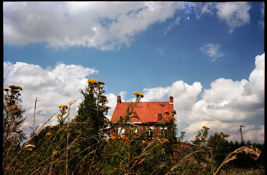 Pourquoi la Kodak Ektar est impossible à reproduire fidèlement en&nbsp;numérique