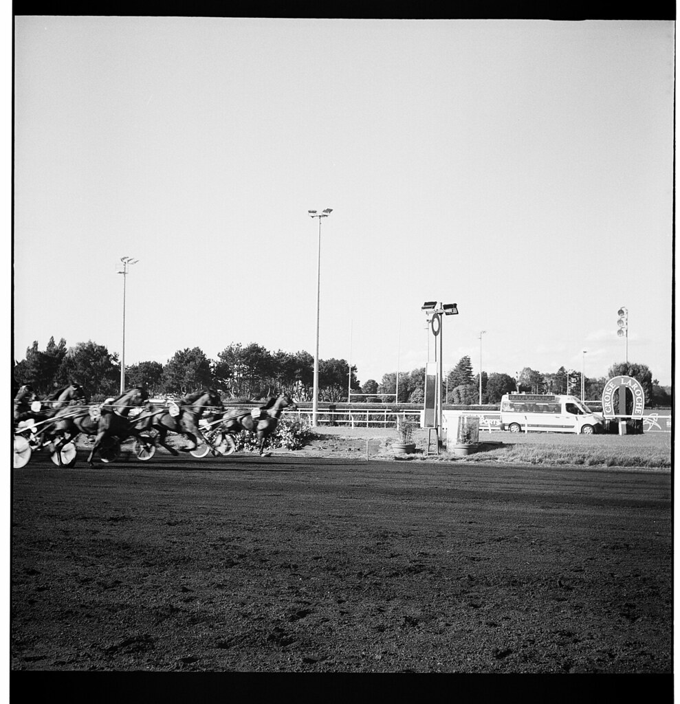 Des chevaux en pleine course sur une piste d'hippodrome, capturés en photographie argentique en noir et blanc.