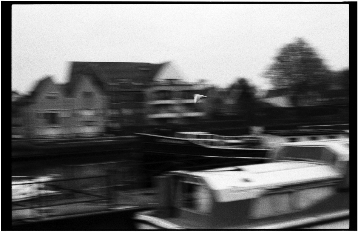 En plein vol – Kodak TMAX&nbsp;P3200