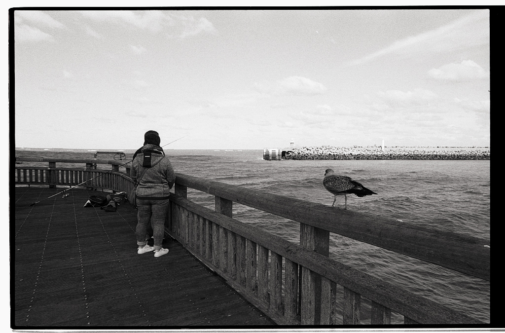 Grand angle et&nbsp;pellicule