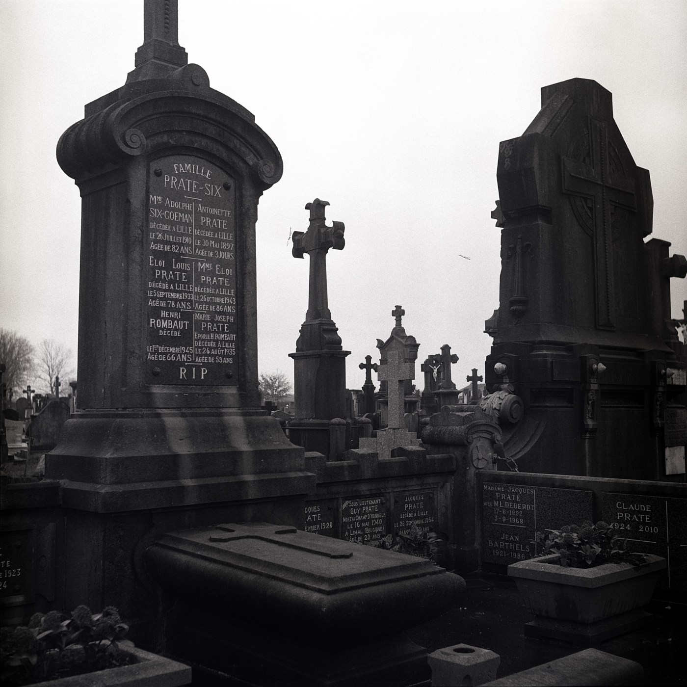 Rolleiflex et Canon EOS&nbsp;R6