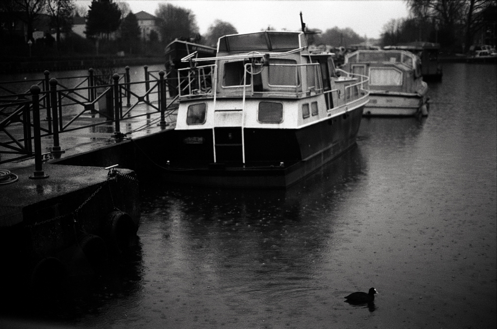 Fomapan 200 sous la&nbsp;pluie