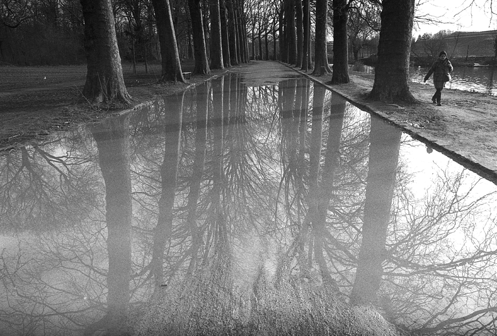 L&rsquo;inspiration dans une flaque&nbsp;d&rsquo;eau