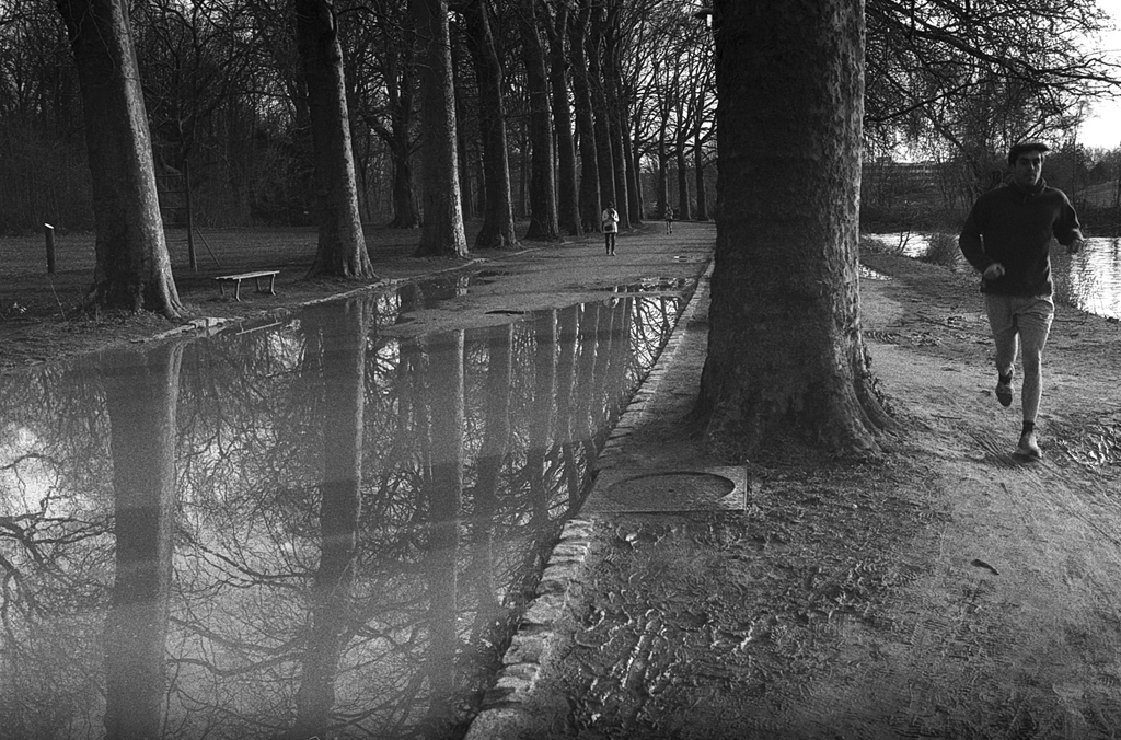 Trouver l'inspiration dans une flaque d'eau. Reflets des arbres dans l'eau sur le chemin de la citadelle de Lille. photo noir et blanc argentique développement maison film Foma et Ilfosol 3. 