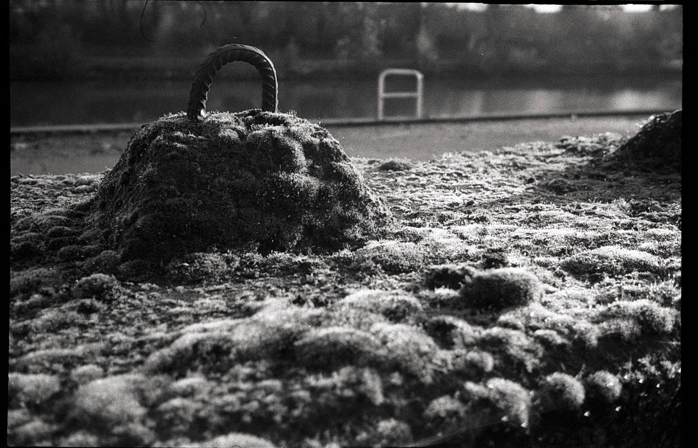 Les effets de la pellicule noir et blanc sur les textures et matières. Tests argentiques pour ressentir les choses au plus près.