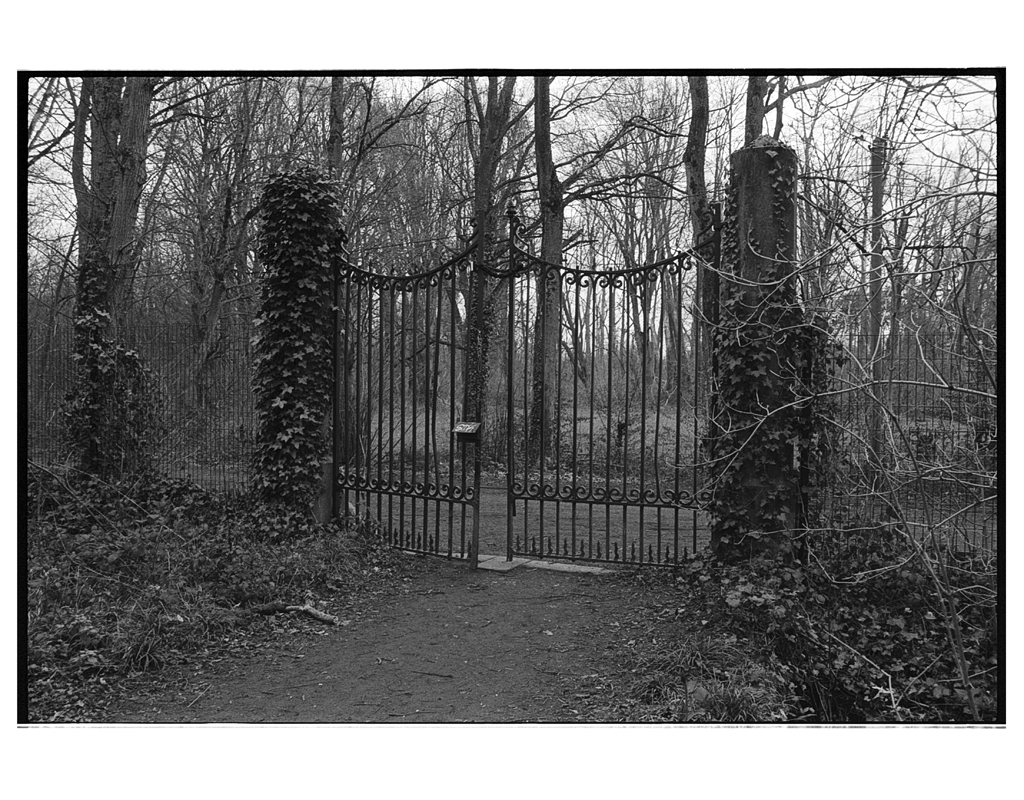 L&rsquo;Ilford HP5 manque de contraste&nbsp;?