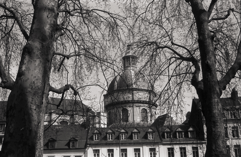 Une vue en noir et blanc d'un bâtiment historique, partiellement caché par des branches d'arbres, avec une belle coupole visible au sommet.