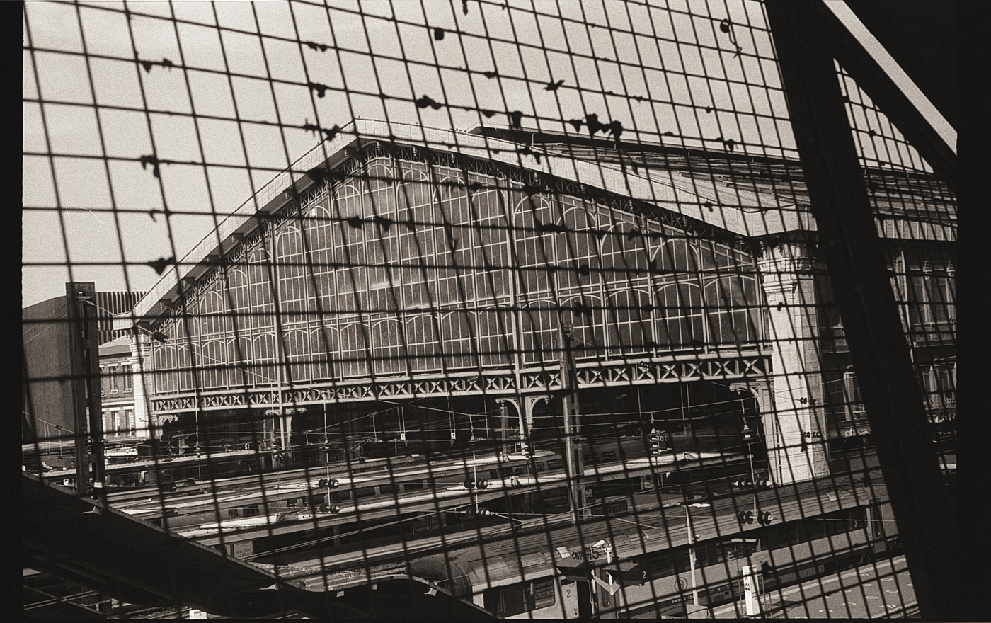 Gare Lille-Flandres : noir, grain et argentique sous&nbsp;caféine