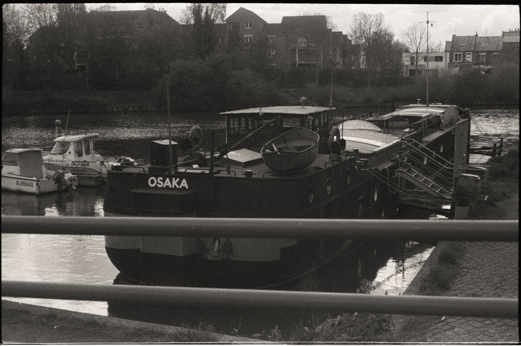 Exemple de rendu de la Bergger Pancro 400, un film noir et blanc de fabrication française avec un rendu rétro très marqué.
