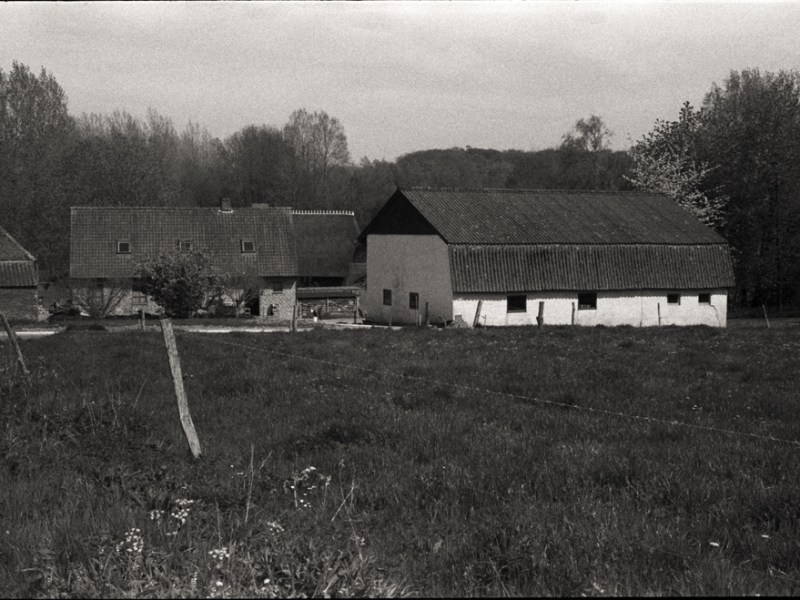 Pellicule Bergger Pancro 400, une&nbsp;merveille