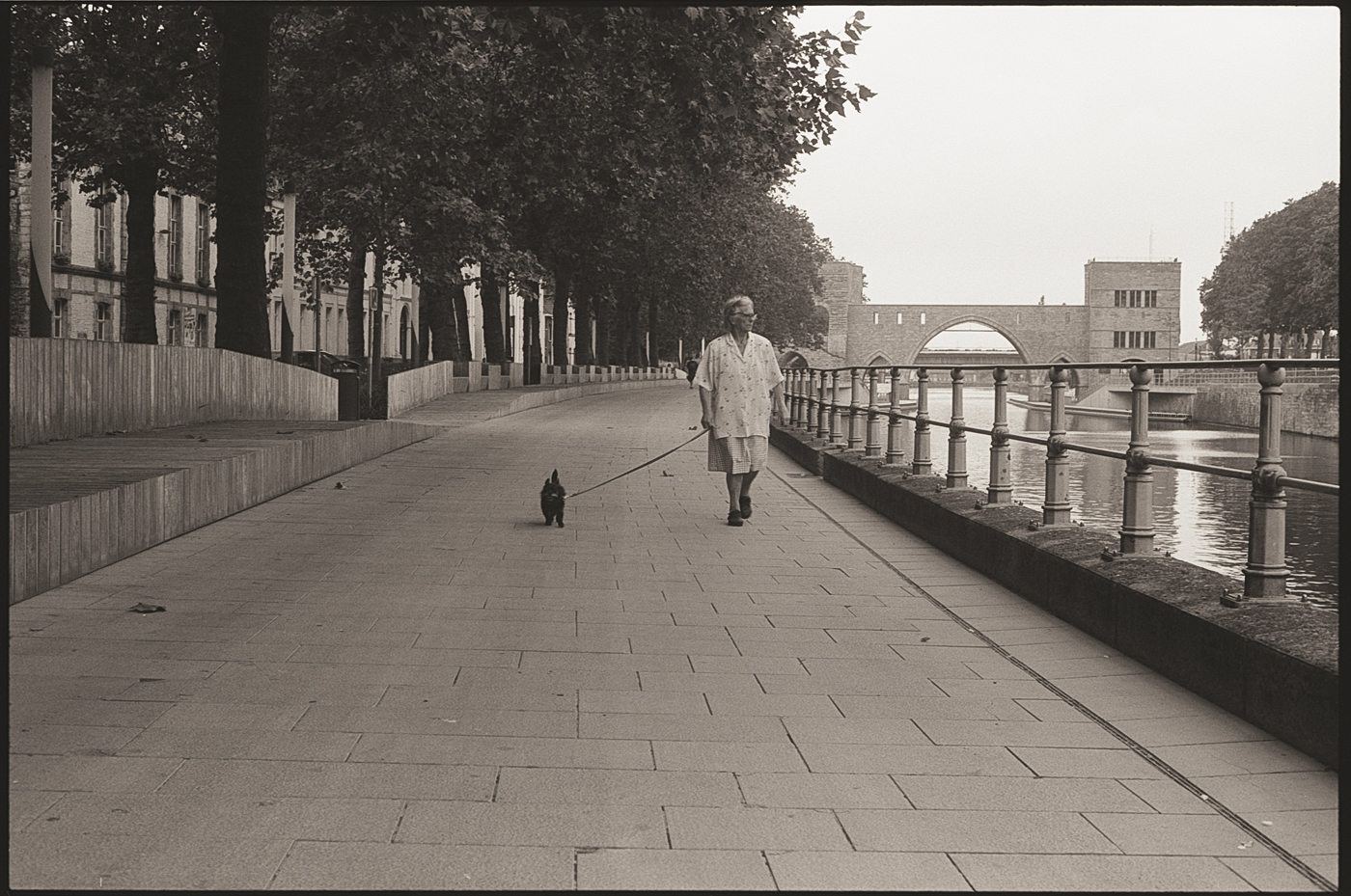 Le piège des automatismes en&nbsp;photographie