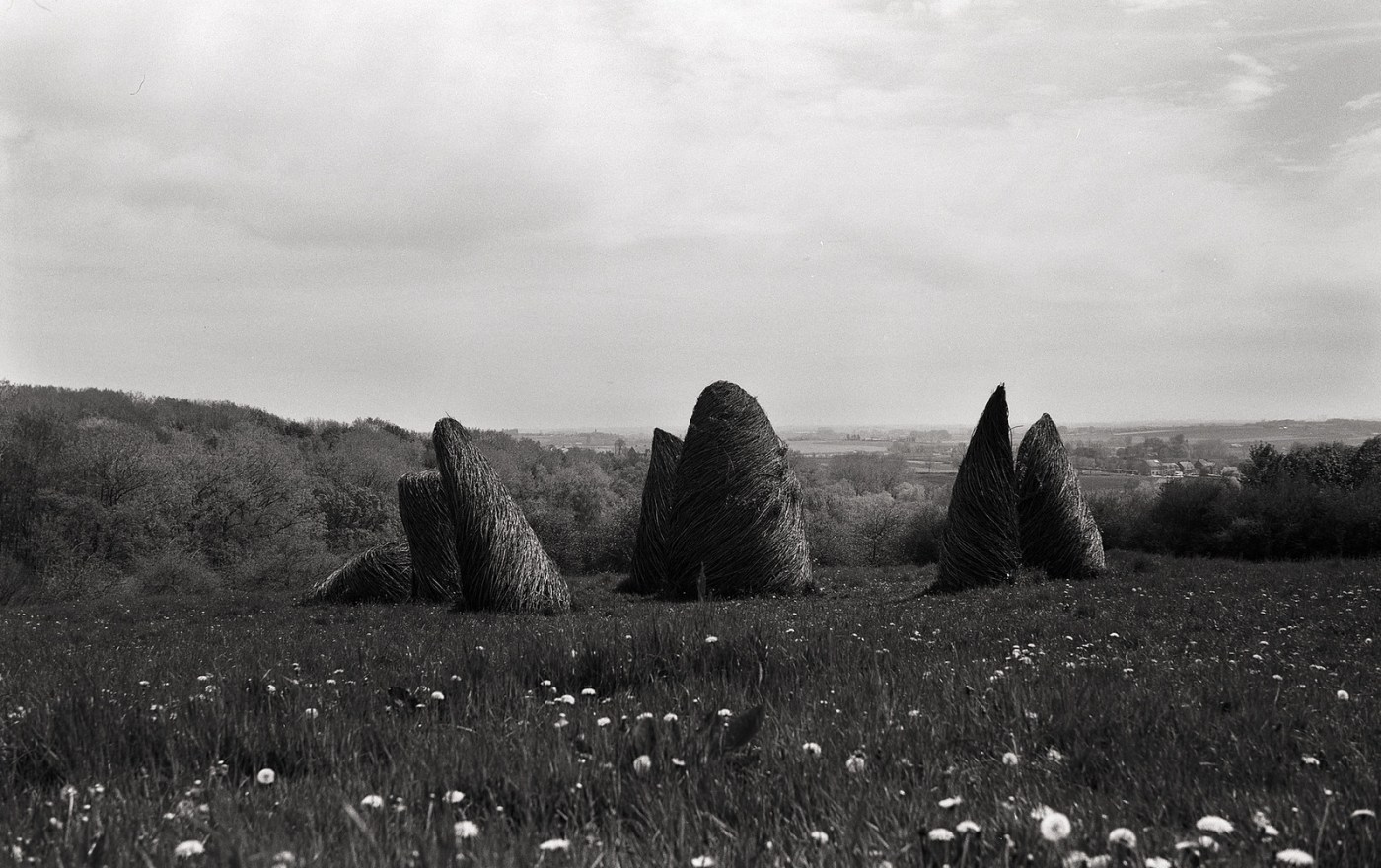 Paysages en tout&nbsp;genre