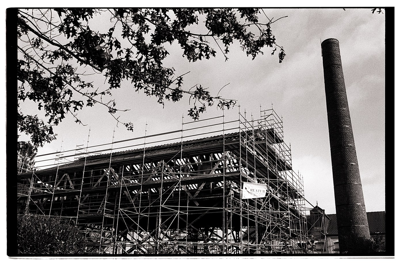 Tests du révélateur ADOX FX-39 II : découverte et comparaison avec le&nbsp;Rodinal