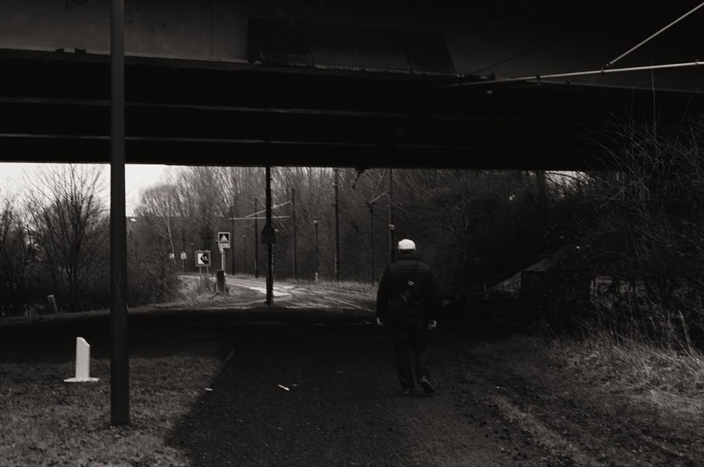 À la recherche du compagnon argentique&nbsp;parfait