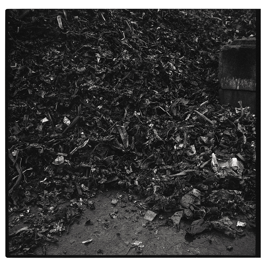 Matière noire – Photographie&nbsp;argentique