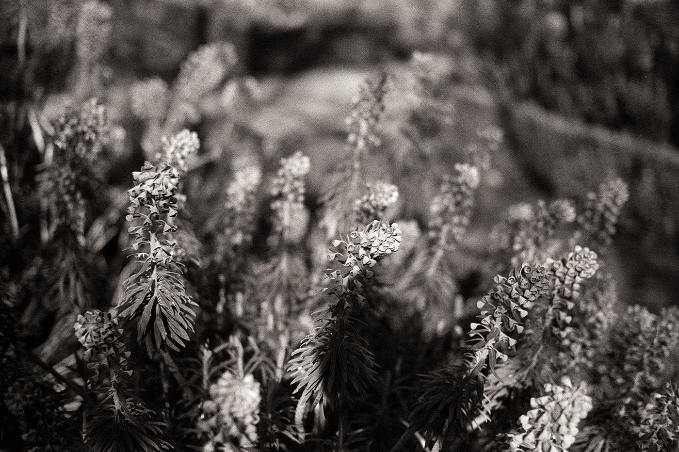 Contrôler la lumière à l&rsquo;aide d&rsquo;un filtre gris neutre en&nbsp;argentique