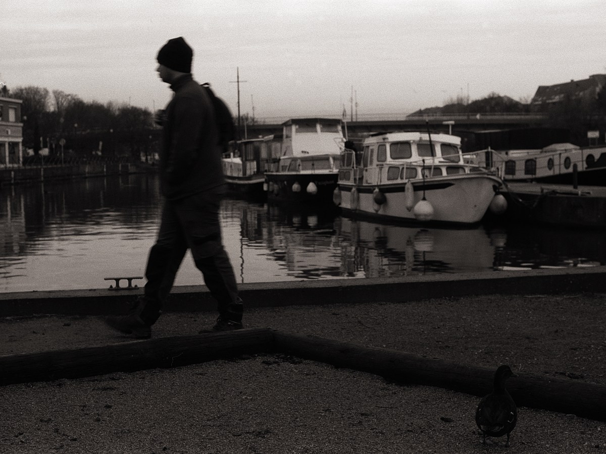 Authentiques photographies argentiques