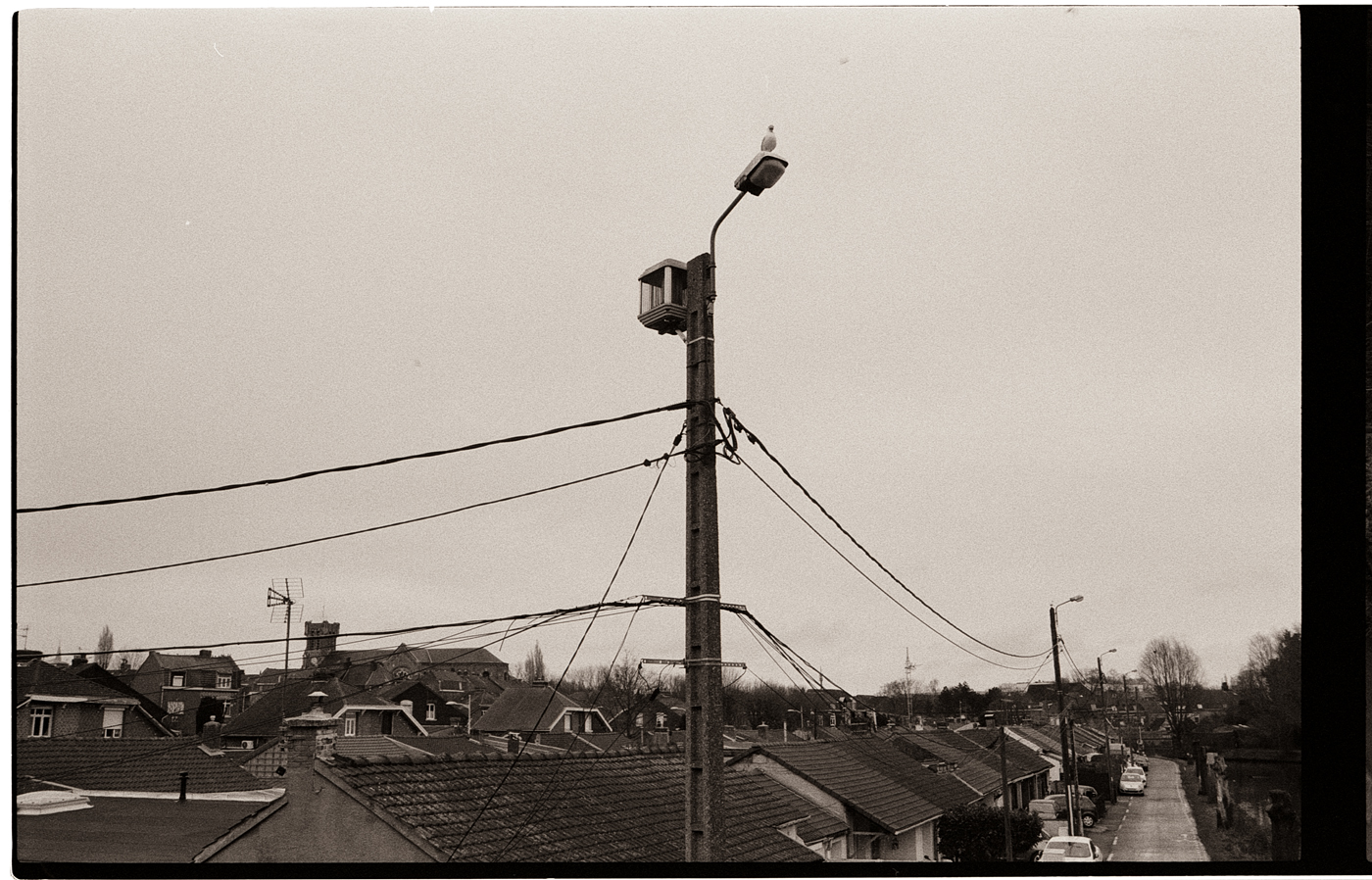 Vue d'une rue résidentielle avec des toits et des fils électriques, capturée en noir et blanc.
