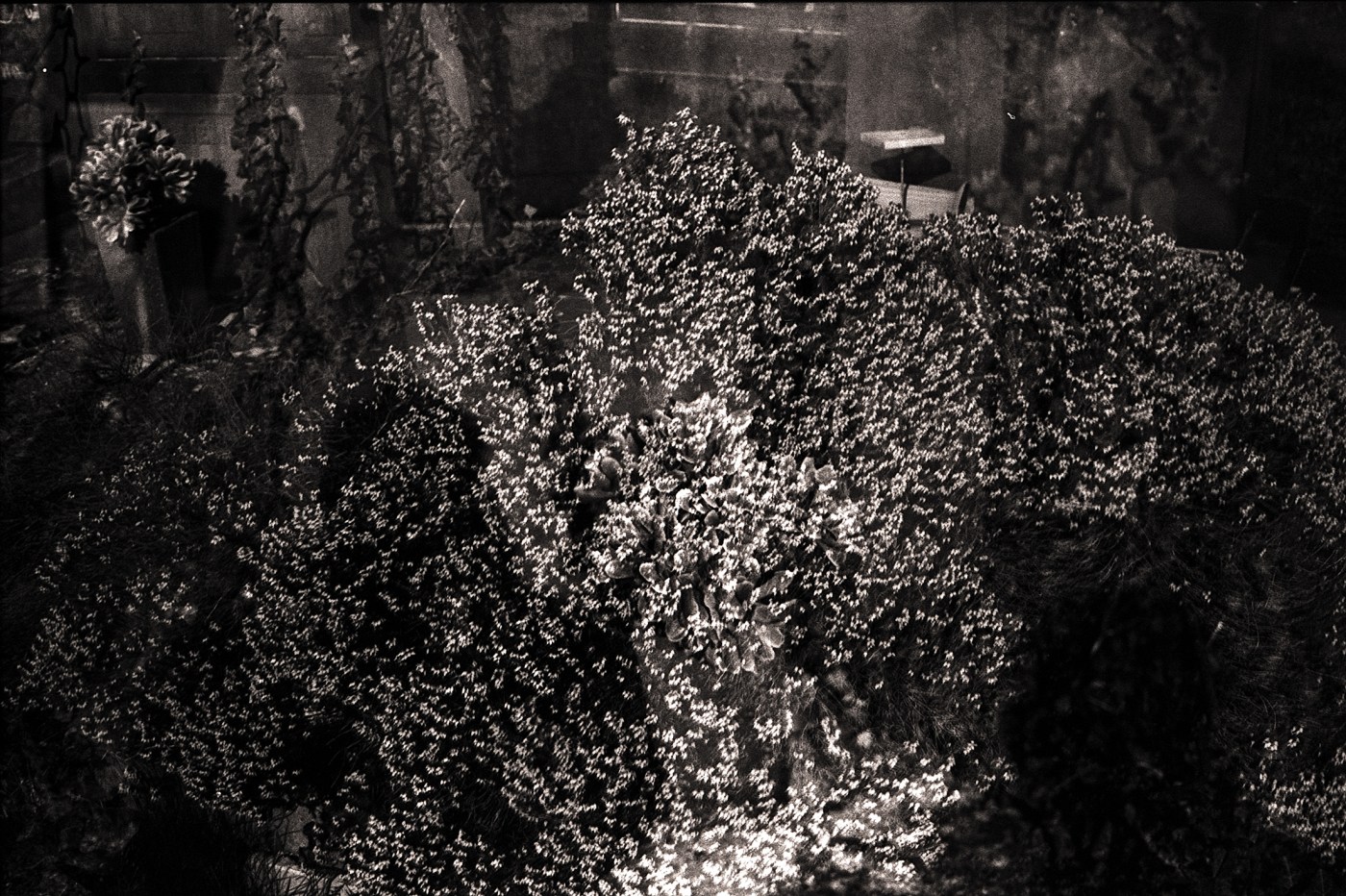 Nuances du noir en&nbsp;argentique