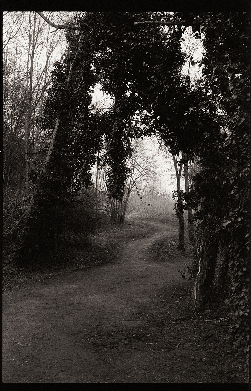 Photographies argentiques sans&nbsp;titre