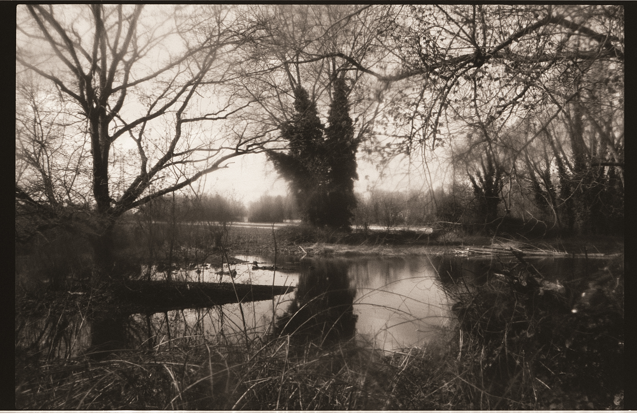 Effet pictorialiste avec une pellicule oubliée dans un tiroir et un développement doux. Photographie argentique véritable.