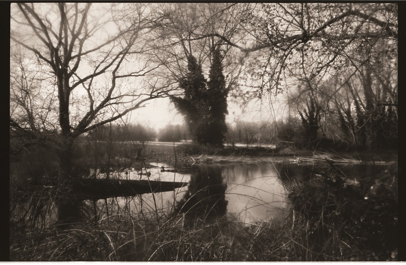 Pour une approche créative de la photographie&nbsp;argentique