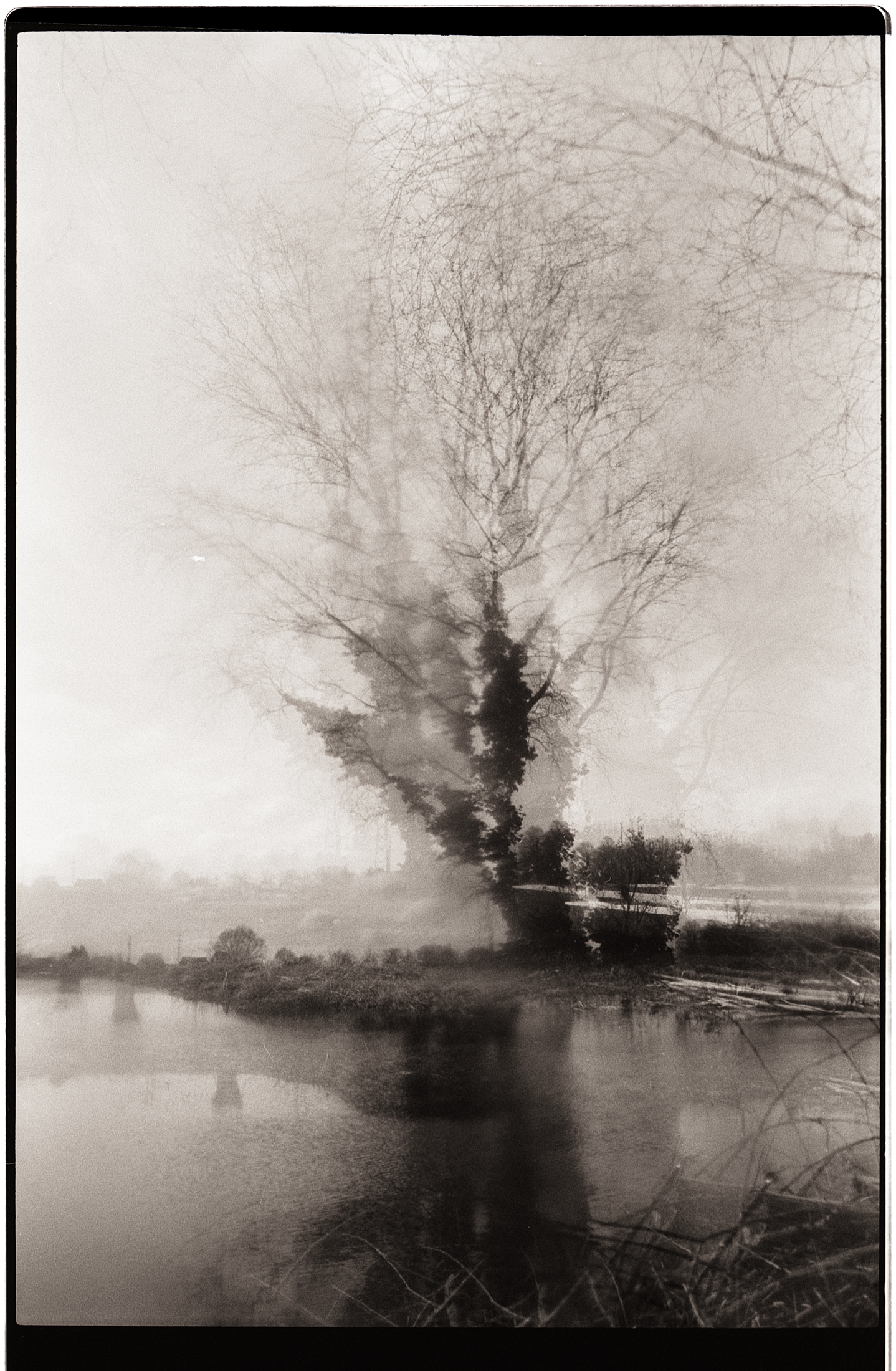 Photographie en noir et blanc d'un arbre flou au bord d'un étang, créant une atmosphère mystérieuse et onirique.
